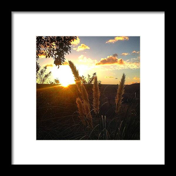 Sunset Framed Print featuring the photograph Sun Willows by J Lopez