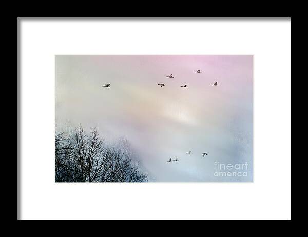Birds Framed Print featuring the photograph Goose Flight by Hannes Cmarits