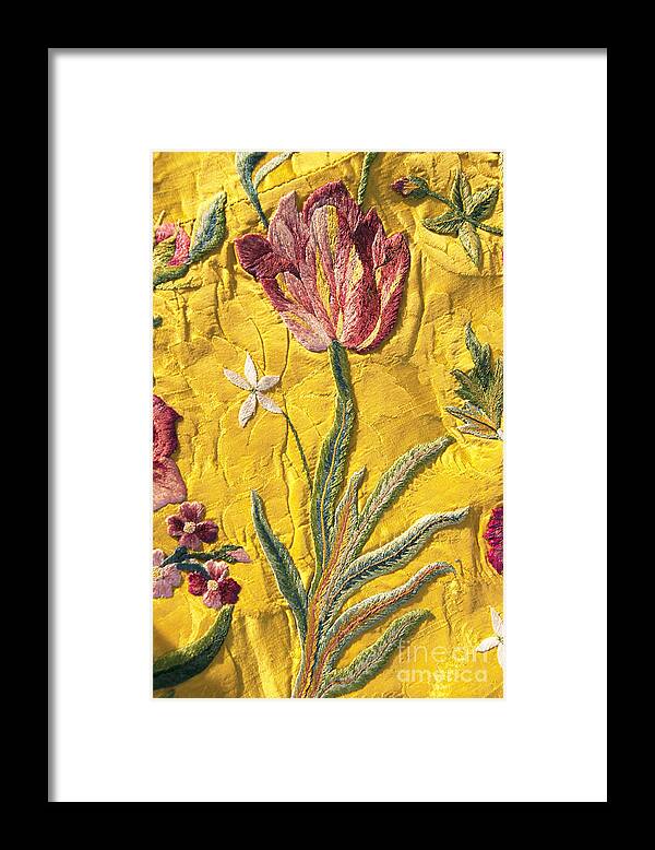 Jacobean Framed Print featuring the photograph Gorgeous Tulip by Brenda Kean