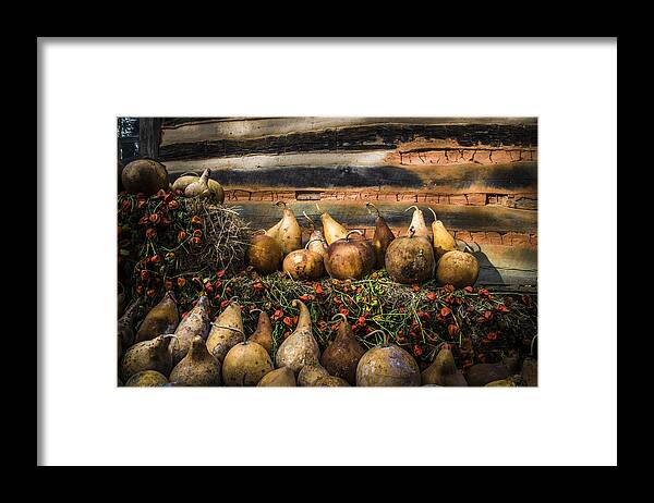 Appalachia Framed Print featuring the photograph Gourds by Debra and Dave Vanderlaan