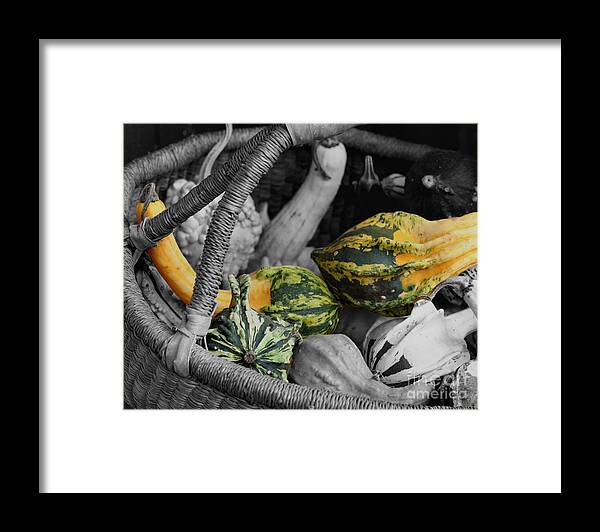 Gourds Framed Print featuring the photograph Gourds In Wicker Basket by Smilin Eyes Treasures