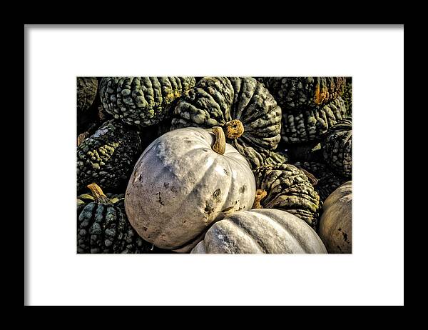 Gourds Framed Print featuring the photograph Gourds by Jean Goodwin Brooks