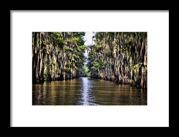 Bayou Framed Print featuring the photograph Government Ditch by Lana Trussell
