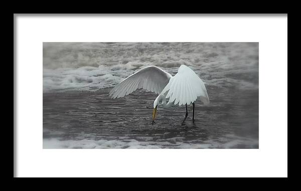 Great Egret Framed Print featuring the photograph Grace by Susan Stephenson