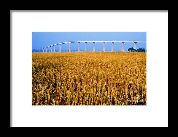 Grain Field Framed Print featuring the photograph Grain and Route 4 Bridge by Thomas R Fletcher