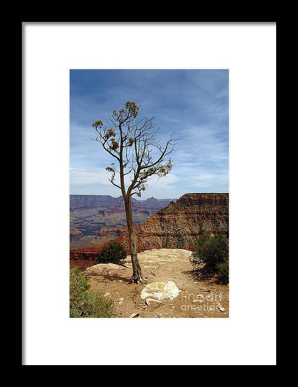 Grand Canyon Framed Print featuring the photograph Grand Canyon Rim View by Debra Thompson