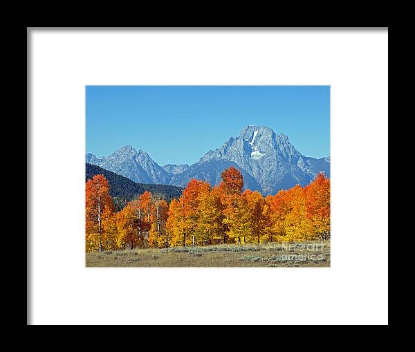Mountain Framed Print featuring the photograph Grand Teton National Park 5 by Jacklyn Duryea Fraizer