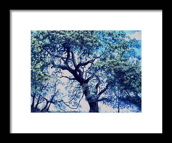 Oak Framed Print featuring the pastel Grande Oak by Dan Terry