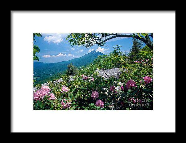 Grandfather Mountain Framed Print featuring the photograph Grandfather Mountain by Bruce Roberts