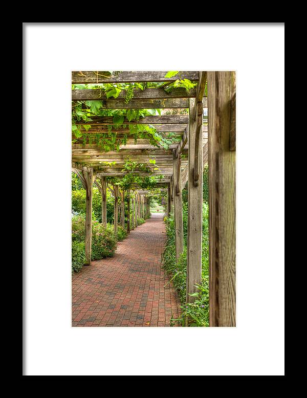 Grape Vines Framed Print featuring the photograph Grape Vines by John Magyar Photography