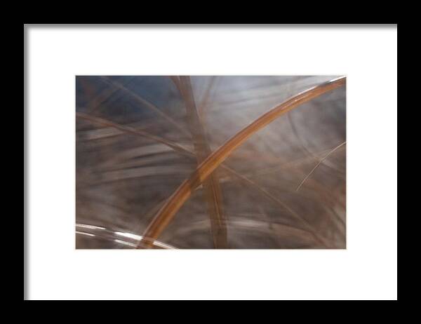 Grass Framed Print featuring the photograph Grass - Abstract 1 by Natalie Rotman Cote