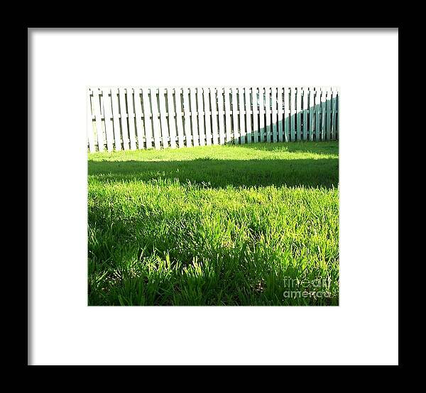 Shadows Framed Print featuring the photograph Grass Shadows by Susan Williams