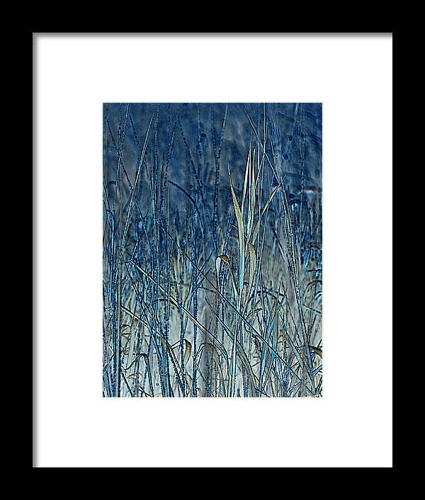 Grass Framed Print featuring the photograph Grass by Theresa Tahara