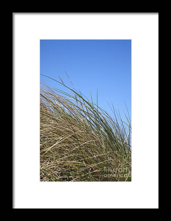 Beach Framed Print featuring the photograph Grasses. by Vanessa D -
