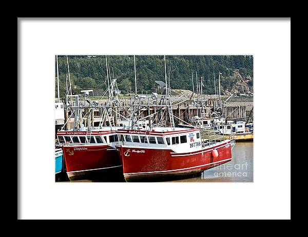 Framed Print featuring the photograph Grateful One Thankful Too by Cheryl Baxter