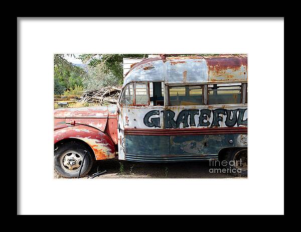 Grateful Framed Print featuring the photograph Grateful by Sophie Vigneault