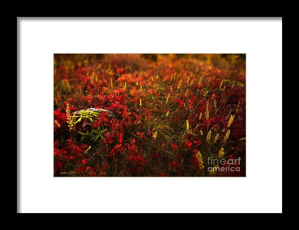 Color Framed Print featuring the photograph Graveyard Fields II - 2010 by Matthew Turlington