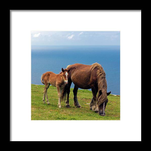 Horse Framed Print featuring the photograph Grazing by Pilar Azaña Talán