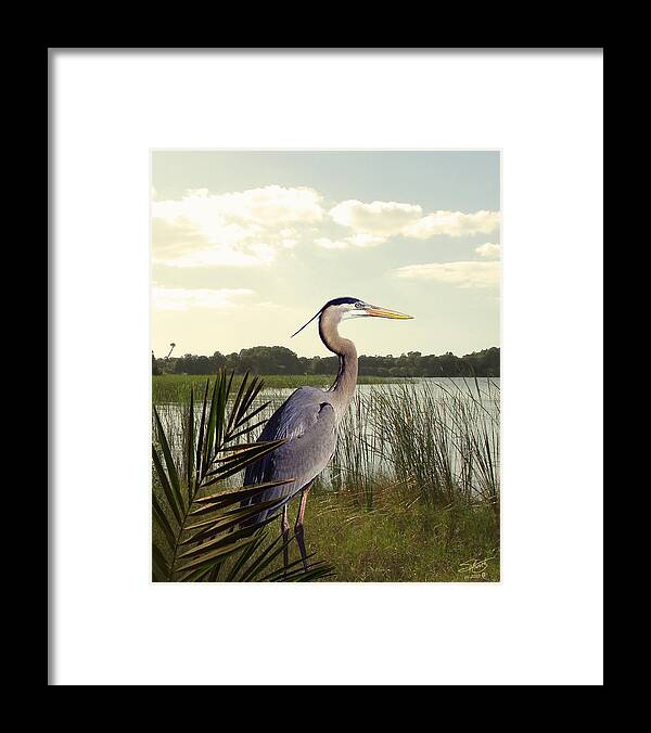  Spadecaller Framed Print featuring the digital art Great Blue Heron in the Bulrushes by M Spadecaller