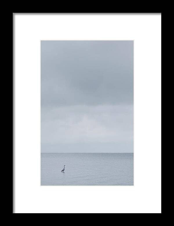Tranquility Framed Print featuring the photograph Great Blue Heron by Rob Atkins