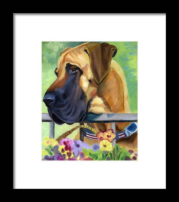 Great Dane Framed Print featuring the painting Great Dane on balcony by Lyn Cook