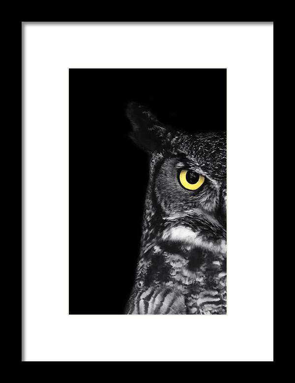 Great Horned Owl Framed Print featuring the photograph Great Horned Owl Photo by Stephanie McDowell