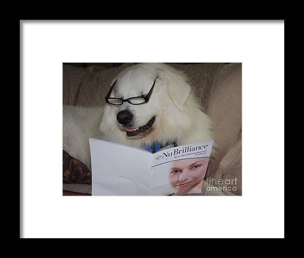 Great Pyrnesse Very Busy Reading Framed Print featuring the photograph Great Pyrnesse Very Busy Reading by John Telfer