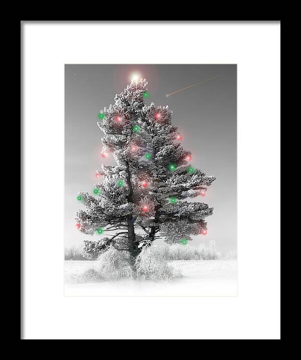 Christmas Tree.pine Framed Print featuring the photograph Great White Christmas Pine by John Bartosik