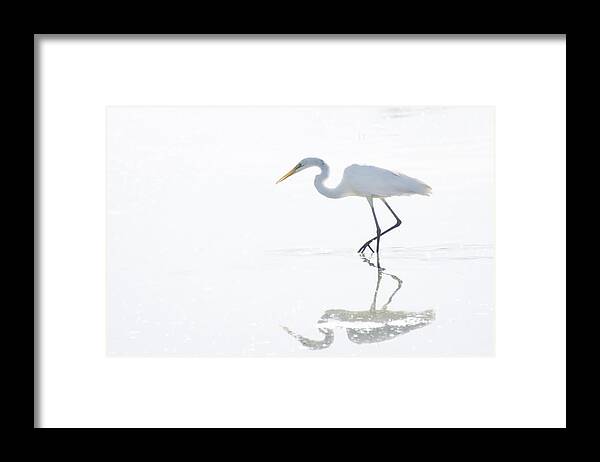 Great Egret Framed Print featuring the photograph Great White Egret Reflection by Saija Lehtonen
