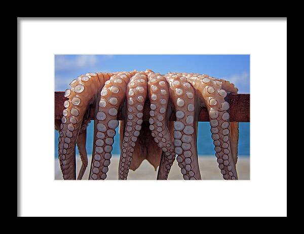 Animal Framed Print featuring the photograph Greece, Cyclades, Paros, Naoussa by Jaynes Gallery