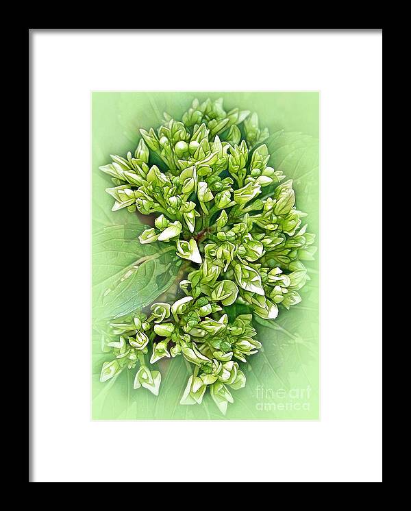 Green Framed Print featuring the photograph Green Bouquet by Judi Bagwell
