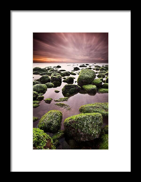 Beach Framed Print featuring the photograph Green chaos by Jorge Maia