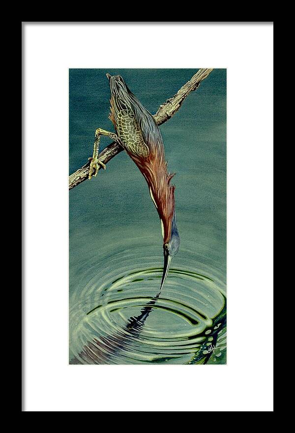Green Hereon Framed Print featuring the painting Green Heron by Greg and Linda Halom