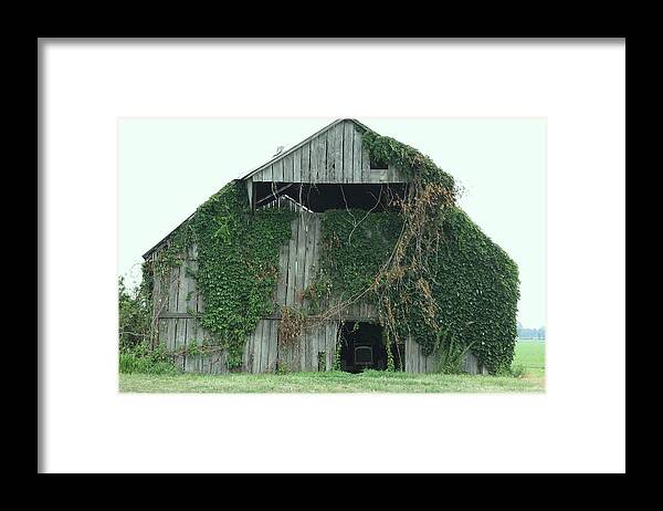 Landscape Barn Ivy Green Tractor Farm Farming Hidden Evening After Work Framed Print featuring the photograph Green Ivy Barn by Terry Scrivner