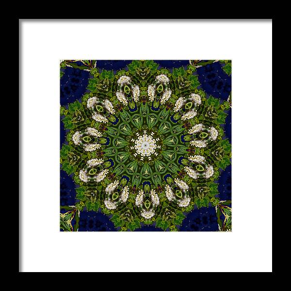 Green Framed Print featuring the photograph Green Leaf White Flower Mandala by Beth Venner