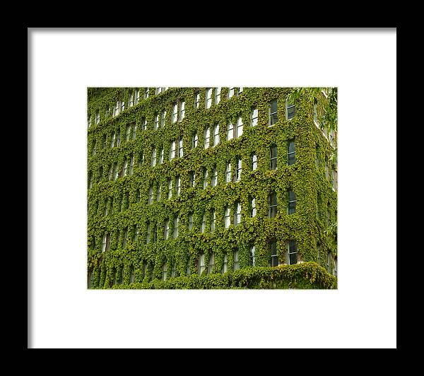 Green Framed Print featuring the photograph Green Oasis by Connie Handscomb