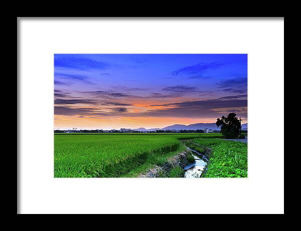 Taiwan Framed Print featuring the photograph Green Of Paddy by Taiwan Nans0410