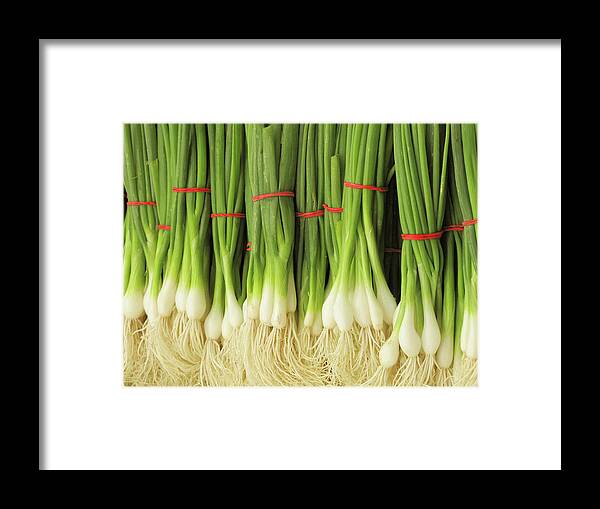 Rubber Band Framed Print featuring the photograph Green Onions by Francois Dion