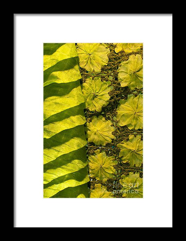Cambodian Framed Print featuring the photograph Green Silk 01 by Rick Piper Photography