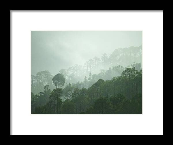 Landscape Framed Print featuring the photograph Green Trees by Rajiv Chopra