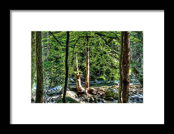 Barry Jones Framed Print featuring the photograph Greenbriar Landscape by Barry Jones