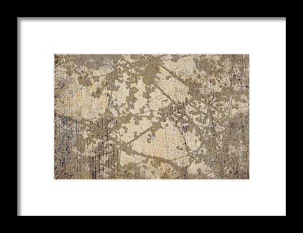 Grey Framed Print featuring the photograph Grey Branches by Suzanne Powers
