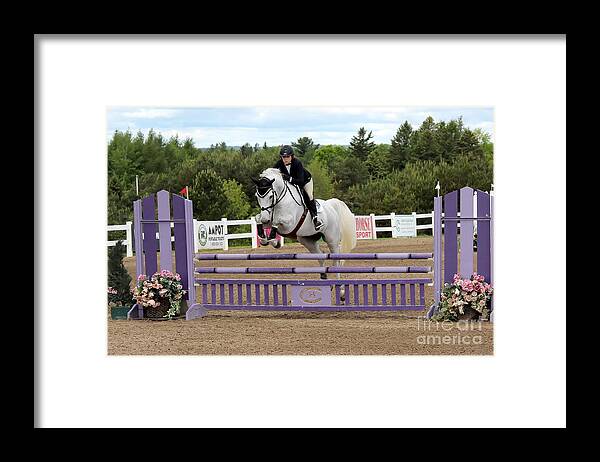 Horse Framed Print featuring the photograph Grey Jumper by Janice Byer