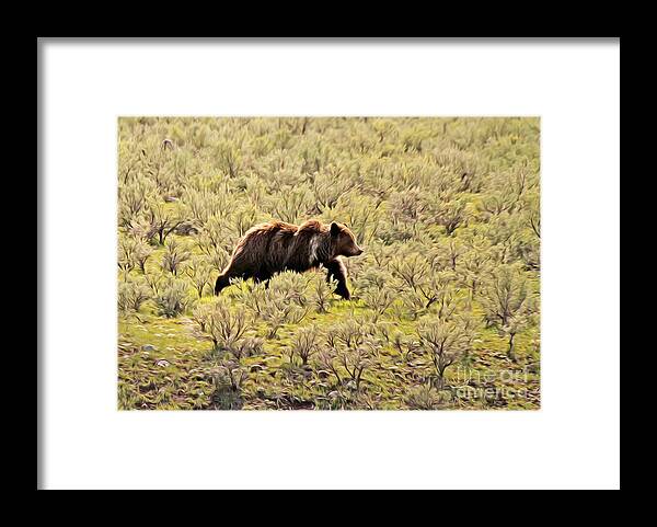 Bear Framed Print featuring the photograph Grizzly in the Sage by Clare VanderVeen
