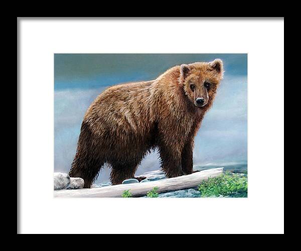 Grizzly Bear Framed Print featuring the drawing Grizzly by Karen Cade