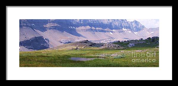 Photo Framed Print featuring the photograph Grizzly Meadows by Marianne NANA Betts