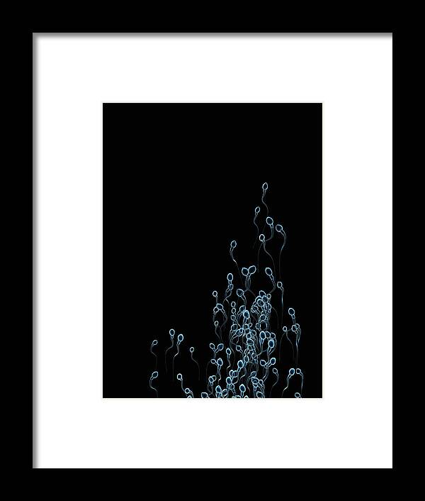 Research Framed Print featuring the photograph Group Of Sperm Swimming Toward Goal by Burazin