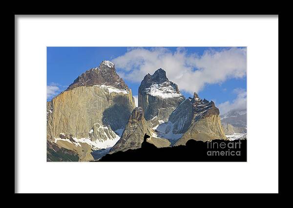 00345708 Framed Print featuring the photograph Guanaco and Cuernos del Paine #2 by Yva Momatiuk John Eastcott