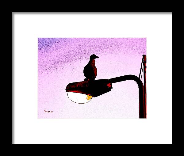 Birds Framed Print featuring the photograph Gullable Sentry by A L Sadie Reneau
