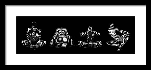 Striped Nude Framed Print featuring the photograph H Stripe Series One Sensual Zebra Woman Abstract Black White Nude 1 to 3 Ratio by Chris Maher